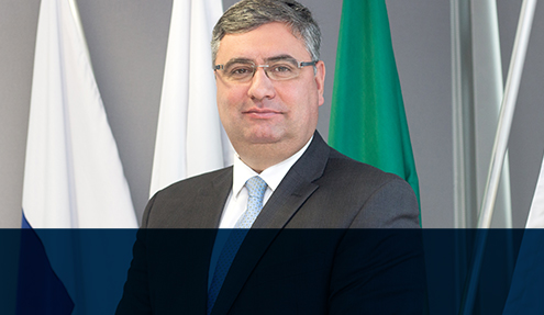 Roque Pellizzaro Junior
